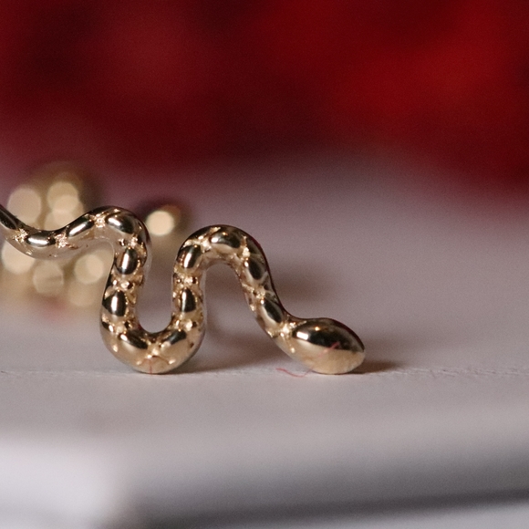 Darkness Warrior - Not all heroes need the spotlight - 10k gold snake earrings - Picture 3 of 5